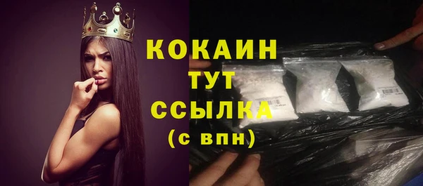 дурь Арсеньев