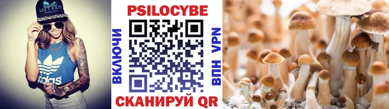 наркота  Петрозаводск  hydra маркетплейс  Псилоцибиновые грибы ЛСД 