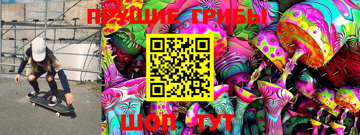 Петрозаводск  Галлюциногенные грибы Psilocybe  Вход с VPN 